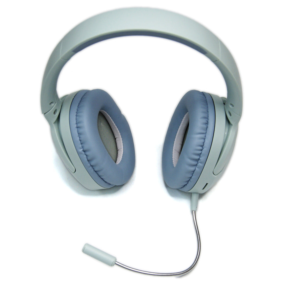 L800 BT Headphones with Mic